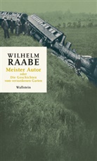 Wilhelm Raabe, Moritz Baßler, Julia Bertschik, Dirk Göttsche, Rolf Parr - Meister Autor