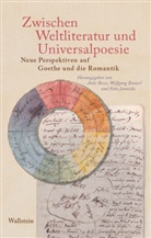 Anke Bosse, Wolfgang Bunzel, Fotis Jannidis - Zwischen Weltliteratur und Universalpoesie