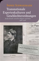 Sophie Schwarzmaier - Transnationale Expertenkulturen und Geschlechterordnungen