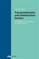 Joachim Kopper, Stephan Grätzel - Transzendentales und dialektisches Denken