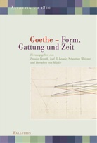Frauke Berndt, Joel B. Lande, Sebasti Meixner, Sebastian Meixner, Dorothea von Mücke, Dorothea von Mücke - Goethe - Form, Gattung und Zeit