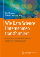René Brunner, Matrone, Glorinda Matrone - Wie Data Science Unternehmen transformiert