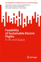 Igor Bolvashenkov, Andrey Brazhnikov, Ilia Frenkel, Stasa Gejo, Staša Gejo, Stasa et Gejo... - Feasibility of Sustainable Electric Flights