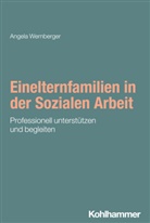 Angela Wernberger, Rudolf Bieker, Michael Domes - Einelternfamilien in der Sozialen Arbeit