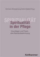 Hermann Brandenburg, Astrid Giebel, Daniela Kiefer-Fischer - Spiritualität in der Pflege