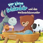 Steve Brown, Bob Hartman, Steve Brown, Marion Schramm - Der kleine Schlaubär und das Weihnachtswunder