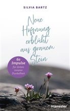Silvia Bartz - Neue Hoffnung erblüht aus grauem Stein