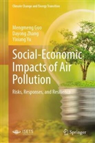 Mengmeng Guo, Yixiang Yu, Dayong Zhang - Social-Economic Impacts of Air Pollution