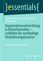 Olivia Braun, Andrea Hausmann, Lena Zischler - Organisationsentwicklung in Kulturbetrieben - Leitfaden für nachhaltige Veränderungsprozesse