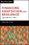 Raffaele Della Croce Di Dojola - Financing Adaptation and Resilience
