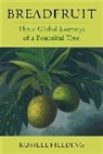 Russell Fielding - Breadfruit