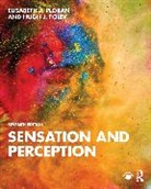 Hugh J. Foley, Elisabeth J. Ploran, Elisabeth J. (Hofstra University) Foley Ploran - Sensation and Perception