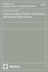 Jannick Finn Schmidt - Insiderrechtliche Risiken im Rahmen öffentlicher Übernahmen