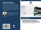 Alcimar Marques - Organisationsdiagnose: Vulcanização Tarumã Ltda