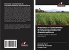 Crispin Cruz, Fernanda Ernandes, Amanda Ferri - Presenza e isolamento di Gluconacetobacter diazotrophicus