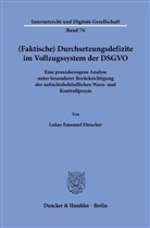 Lukas Emanuel Fleischer - (Faktische) Durchsetzungsdefizite im Vollzugssystem der DSGVO