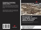 Rodson de Abreu Marques, Edgar B. de Medeiros Jr., Guilherme Marques Martins - Petrography of kamafugites: southern region of the Goiás Alkaline Province