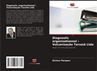 Alcimar Marques - Diagnostic organisationnel : Vulcanização Tarumã Ltda