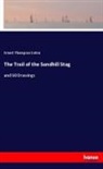 Ernest Thompson Seton - The Trail of the Sandhill Stag