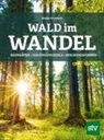Walter Schubach - Wald im Wandel