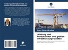 Stuart Richard Bradley - Leistung und Produktivität von großen Infrastrukturprojekten