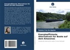 Suzane Cruz de Aquino - Energieeffiziente Alternativen für Boote auf dem Amazonas