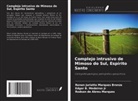 Rodson de Abreu Marques, Renan Juriatto Marques Bronze, Edgar B. Medeiros Jr - Complejo intrusivo de Mimoso do Sul, Espírito Santo