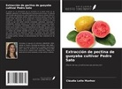 Cláudia Leite Munhoz - Extracción de pectina de guayaba cultivar Pedro Sato