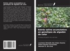 Geovani S. de Lima, Lauriane Almeida dos Anjos Soares, Pedro Dantas Fernandes - Estrés salino acumulativo en genotipos de algodón de color
