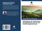 Zenebe Mekonnen Gebretsadik - Eukalyptus als alternative Energiequelle und für die Ernährungssicherheit