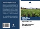 Crispin Cruz, Fernanda Ernandes, Amanda Ferri - Vorkommen und Isolierung von Gluconacetobacter diazotrophicus