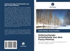 Zahid Hafeez Imam Khokhar - Untersuchungs-Schnittstelle aus dem Fuzzy-Pentray