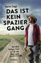 Martin Zinggl - Das ist kein Spaziergang