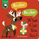 Dee Costello, Pintachan - Reindeer! Reindeer! What Can You See?