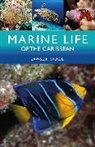 Lawson Wood, Wood Lawson - Marine Life of the Caribbean