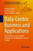 Zaneta Lacová, Ghislaine Pellat, Marian Suplata - Data-Centric Business and Applications