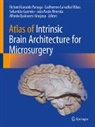 João Paulo Almeida, Guilherme Carvalhal Ribas, Sebastião Gusmão, Sebastião Gusmão et al, Richard Gonzalo Párraga, Alfredo Quinoñes-Hinojosa... - Atlas of Intrinsic Brain Architecture for Microsurgery