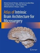João Paulo Almeida, Guilherme Carvalhal Ribas, Sebastião Gusmão, Sebastião Gusmão et al, Richard Gonzalo Párraga, Alfredo Quinoñes-Hinojosa... - Atlas of Intrinsic Brain Architecture for Microsurgery
