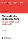 Dirk Weber - Methodik der Fallbearbeitung