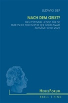 Ludwig Siep - Nach dem Geist?
