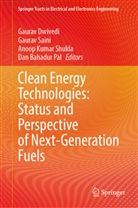 Gaurav Dwivedi, Anoop Kumar Shukla et al, Dan Bahadur Pal, Gaurav Saini, Anoop Kumar Shukla - Clean Energy Technologies: Status and Perspective of Next-Generation Fuels