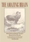 Robert E Crnstein, David Macaulay, Robert E Ornstein - The Amazing Brain