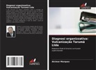 Alcimar Marques - Diagnosi organizzativa: Vulcanização Tarumã Ltda