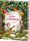 Miriam Fritz - Mein großes Liederbuch
