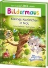 Daisy Meadows, Nadine Reitz - Bildermaus - Kleines Kaninchen in Not