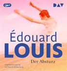 Édouard Louis, Patrick Güldenberg - Der Absturz (Audio book)