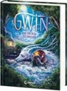 Verena Maier, Indiana Acosta - Gwin und das Herz des Drachen (Band 1)