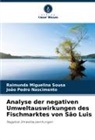 João Pedro Nascimento, Raimunda Miguelina Sousa - Analyse der negativen Umweltauswirkungen des Fischmarktes von São Luis