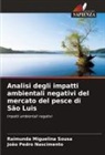 João Pedro Nascimento, Raimunda Miguelina Sousa - Analisi degli impatti ambientali negativi del mercato del pesce di São Luis