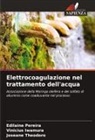 Vinicius Iwamura, Edilaine Pereira, Joseane Theodoro - Elettrocoagulazione nel trattamento dell'acqua